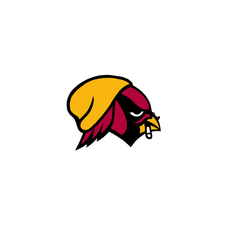 Arizona Cardinals Hipsters Logo fabric transfer